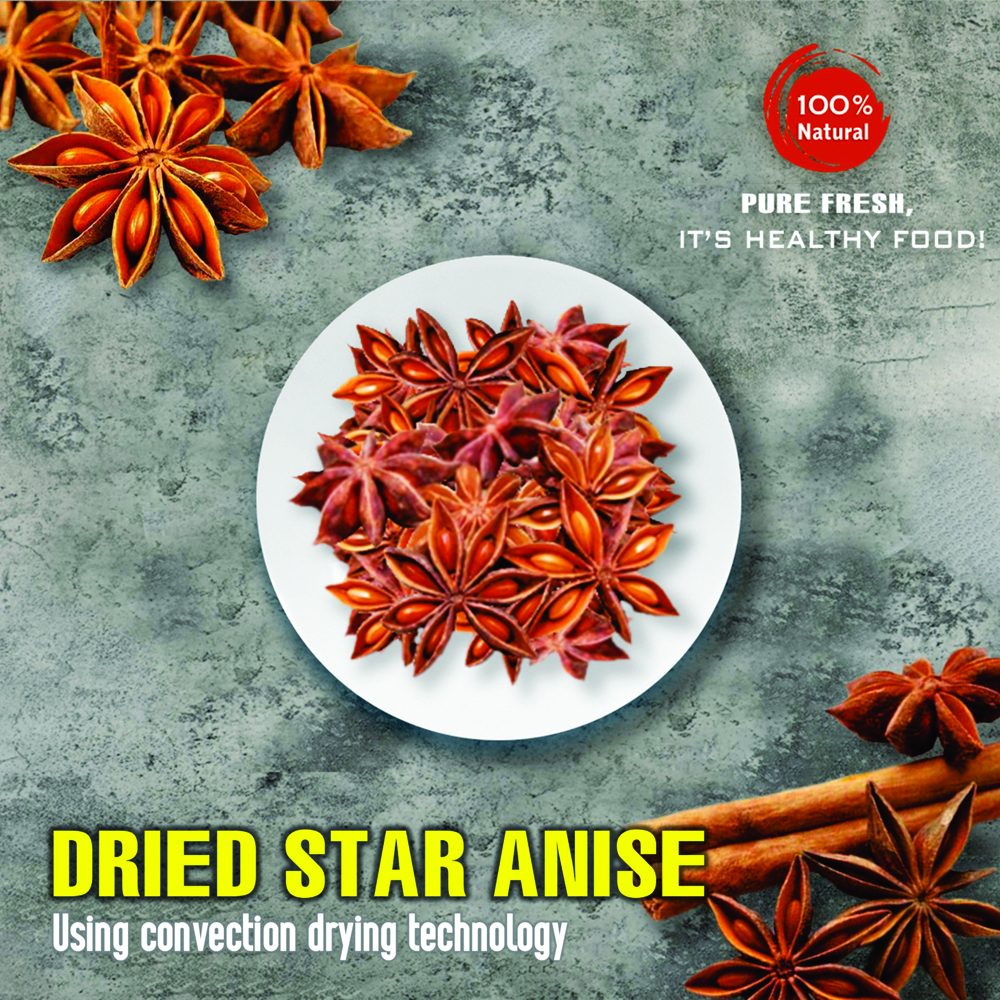 DRIED STAR ANISE 5.29 Oz (150g) VIETFARMFOOD: Convection dried spices extract pure natural flavor. Convenient packaging, long-term preservation. Used for cooking, baking, salad, soup, sauce.