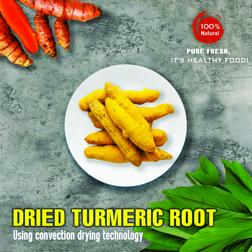 DRIED TURMERIC ROOT 5.29 Oz (150g) VIETFARMFOOD: Convection dried spices extract pure natural flavor. Convenient packaging, long-term preservation. Used for cooking, baking, salad, soup, sauce.