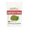 DRIED SPICES YOUNG CHIVES POWDER Viet Farm Food Agricultural Products 84 0938838553 1