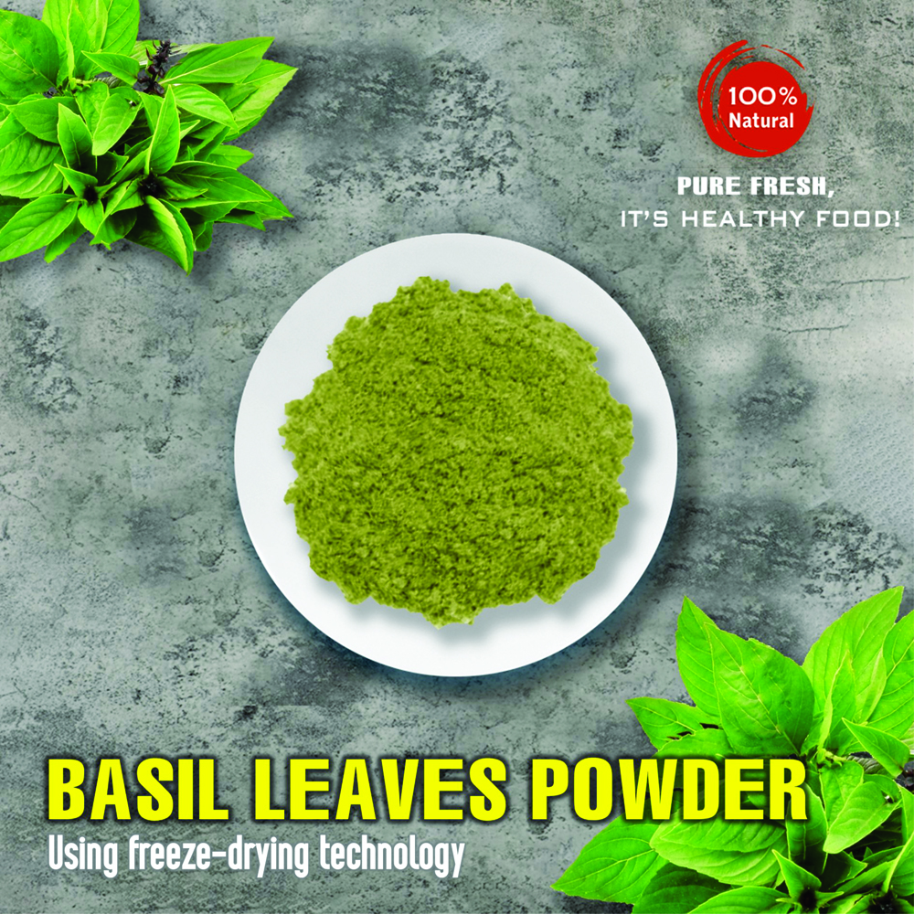 BASIL POWDER 1.76 Oz (50g) VIETFARMFOOD: Freeze-dried spices extract pure natural flavor. Convenient packaging, long-term preservation. Used for cooking, baking, salads, soups, sauces.