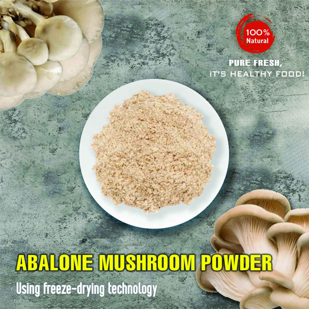 ABALONE MUSHROOM POWDER 1.76 Oz (50g) VIETFARMFOOD: Freeze-dried spices extract pure natural flavor. Convenient packaging, long-term preservation. Used for cooking, baking, salads, soups, sauces.