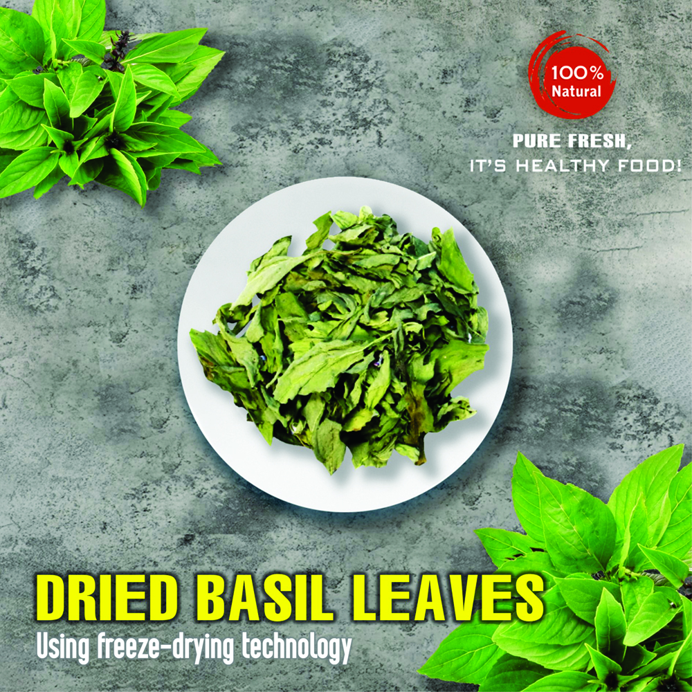 DRIED BASIL LEAVES 2.47 Oz (70g) VIETFARMFOOD: Freeze-dried spices extract pure natural flavor. Convenient packaging, long-term preservation. Used for cooking, baking, salads, soups, sauces.