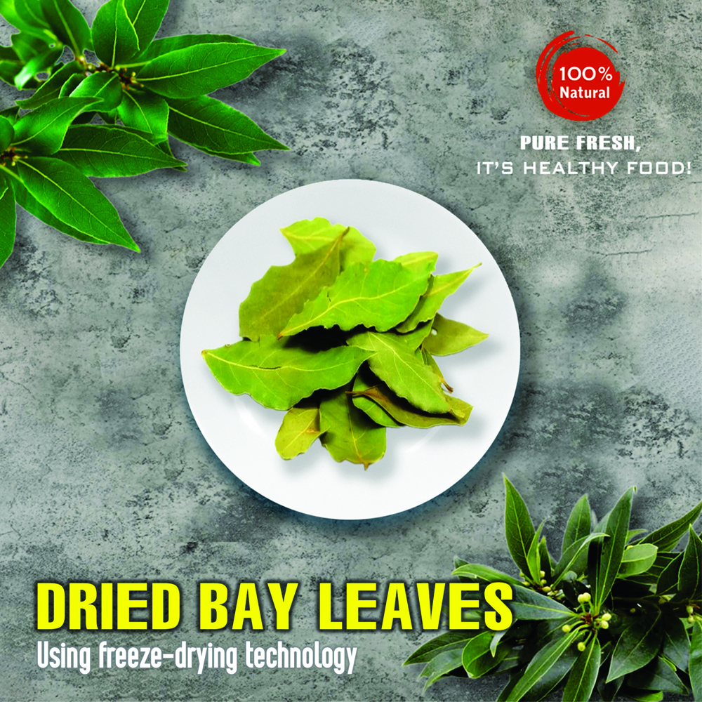 DRIED BAY LEAVES 2.47 Oz (70g) VIETFARMFOOD: Freeze-dried spices extract pure natural flavor. Convenient packaging, long-term preservation. Used for cooking, baking, salads, soups, sauces.