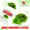 FREEZE DRIED SPICES CORIANDER LEAVES Viet Farm Food Agricultural Products 84 0938838553 3