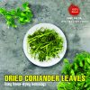 FREEZE DRIED SPICES CORIANDER LEAVES Viet Farm Food Agricultural Products 84 0938838553 4