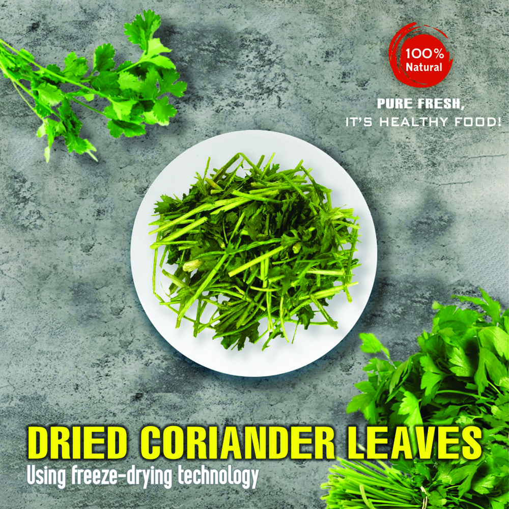 DRIED CORIANDER LEAVES 2.47 Oz (70g) VIETFARMFOOD: Freeze-dried spices extract pure natural flavor. Convenient packaging, long-term preservation. Used for cooking, baking, salads, soups, sauces.