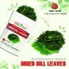 FREEZE DRIED SPICES DILL LEAVES Viet Farm Food Agricultural Products 84 0938838553 3