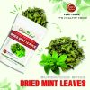 FREEZE DRIED SPICES MINT LEAVES Viet Farm Food Agricultural Products 84 0938838553 3
