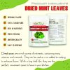 FREEZE DRIED SPICES MINT LEAVES Viet Farm Food Agricultural Products 84 0938838553 6