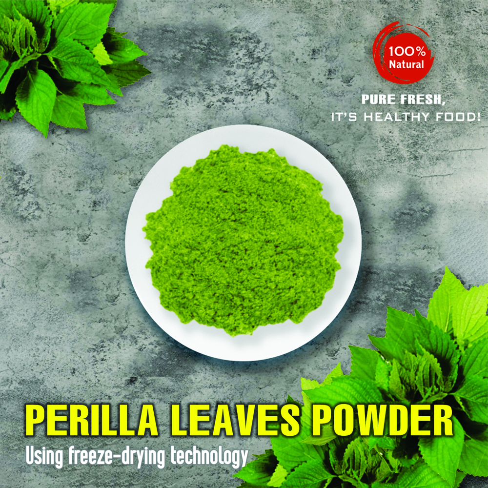 PERILLA LEAVES POWDER 2.47 Oz (70g) VIETFARMFOOD: Freeze-dried spices extract pure natural flavor. Convenient packaging, long-term preservation. Used for cooking, baking, salads, soups, sauces...