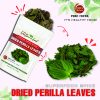 FREEZE DRIED SPICES PERILLA LEAVES Viet Farm Food Agricultural Products 84 0938838553 3