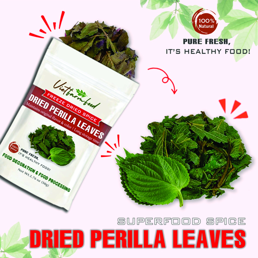 DRIED PERILLA LEAVES 2.47 Oz (70g) VIETFARMFOOD: Freeze-dried spices extract pure natural flavor. Convenient packaging, long-term preservation. Used for cooking, baking, salads, soups, sauces.