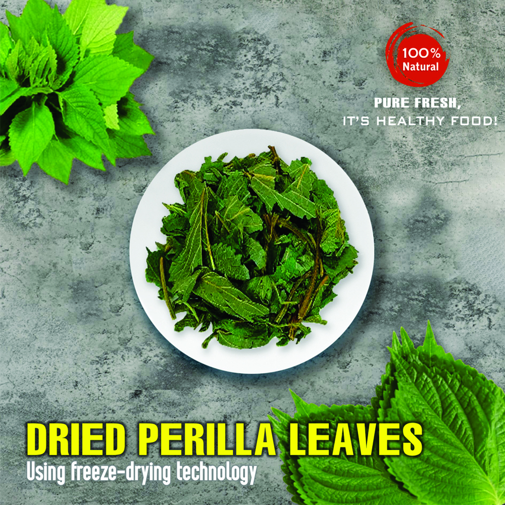 DRIED PERILLA LEAVES 2.47 Oz (70g) VIETFARMFOOD: Freeze-dried spices extract pure natural flavor. Convenient packaging, long-term preservation. Used for cooking, baking, salads, soups, sauces.