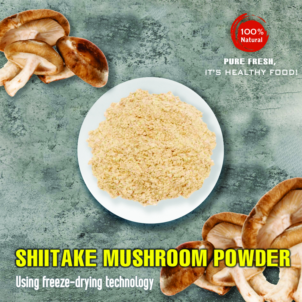 SHIITAKE MUSHROOM POWDER 1.76 Oz (50g) VIETFARMFOOD: Freeze-dried spices extract pure natural flavor. Convenient packaging, long-term preservation. Used for cooking, baking, salads, soups, sauces.