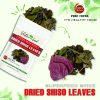 FREEZE DRIED SPICES SHISO LEAVES elsholtzia ciliata Viet Farm Food Agricultural Products 84 0938838553 3