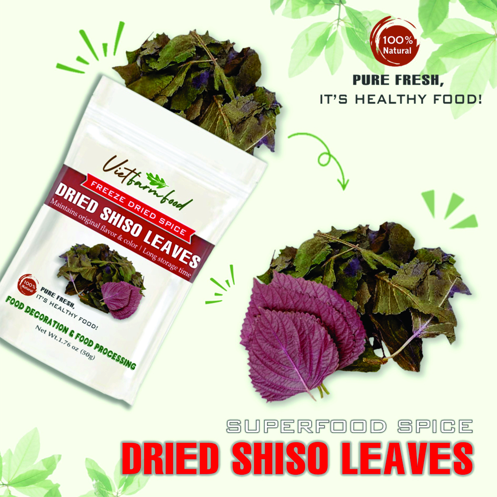 DRIED BAY LEAVES 2.47 Oz (70g) VIETFARMFOOD: Freeze-dried spices extract pure natural flavor. Convenient packaging, long-term preservation. Used for cooking, baking, salads, soups, sauces.