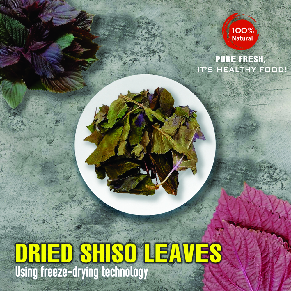 DRIED BAY LEAVES 2.47 Oz (70g) VIETFARMFOOD: Freeze-dried spices extract pure natural flavor. Convenient packaging, long-term preservation. Used for cooking, baking, salads, soups, sauces.
