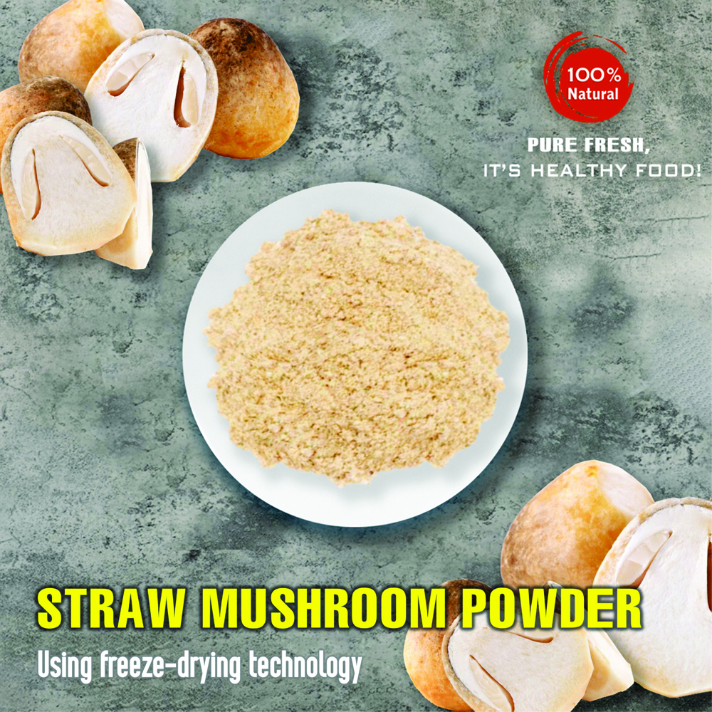 STRAW MUSHROOM POWDER 1.76 Oz (50g) VIETFARMFOOD: Freeze-dried spices extract pure natural flavor. Convenient packaging, long-term preservation. Used for cooking, baking, salads, soups, sauces.