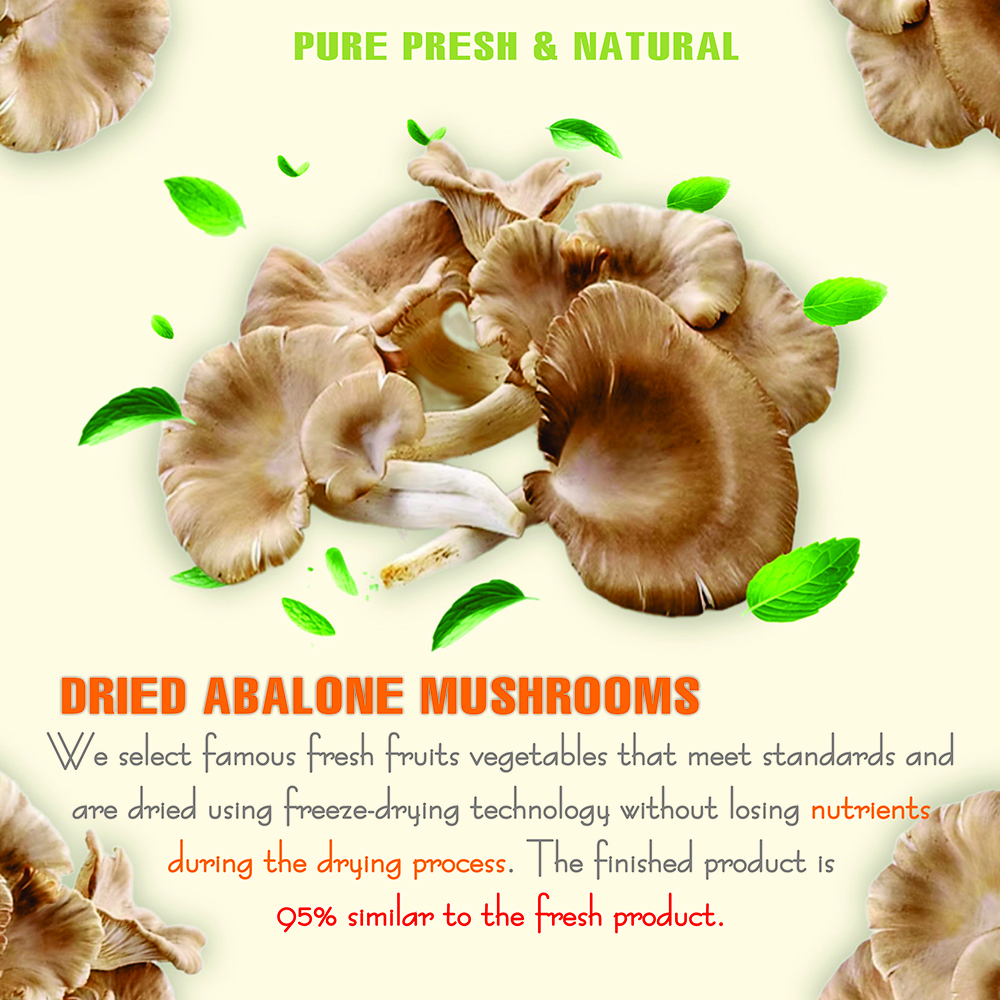 DRIED ABALONE MUSHROOMS 5.29 Oz (150g) VIETFARMFOOD: Dried agricultural products with pure natural flavor. Used as cooking ingredients to prepare delicious, nutritious dishes, suitable for vegetarians