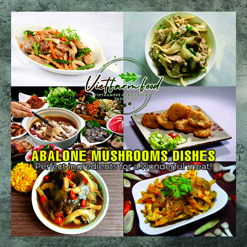 DRIED ABALONE MUSHROOMS 5.29 Oz (150g) VIETFARMFOOD: Dried agricultural products with pure natural flavor. Used as cooking ingredients to prepare delicious, nutritious dishes, suitable for vegetarians