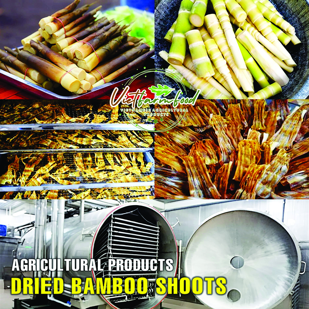 DRIED FOREST BAMBOO SHOOT 5.29 Oz (150g) VIETFARMFOOD: Dried agricultural product with pure natural flavor. Used as cooking ingredients to prepare delicious, nutritious dishes, suitable for vegetarian