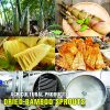 AGRICULTURAL PRODUCTS DRIED BAMBOO SPROUTS Viet Farm Food natural ingredients processed into dishes 84 0938838553 4