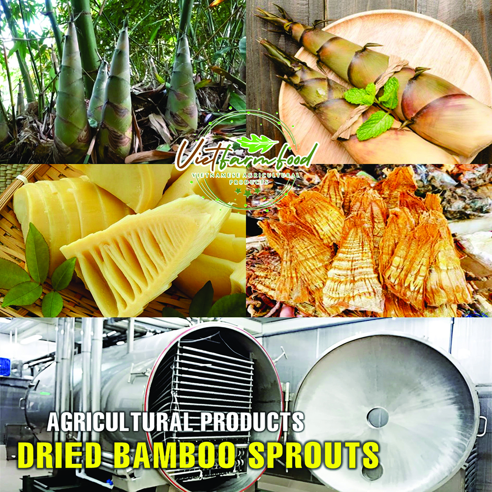 DRIED BAMBOO SPROUTS 5.29 Oz (150g) VIETFARMFOOD: Dried agricultural products with pure natural flavor. Used as cooking ingredients to prepare delicious, nutritious dishes, suitable for vegetarians