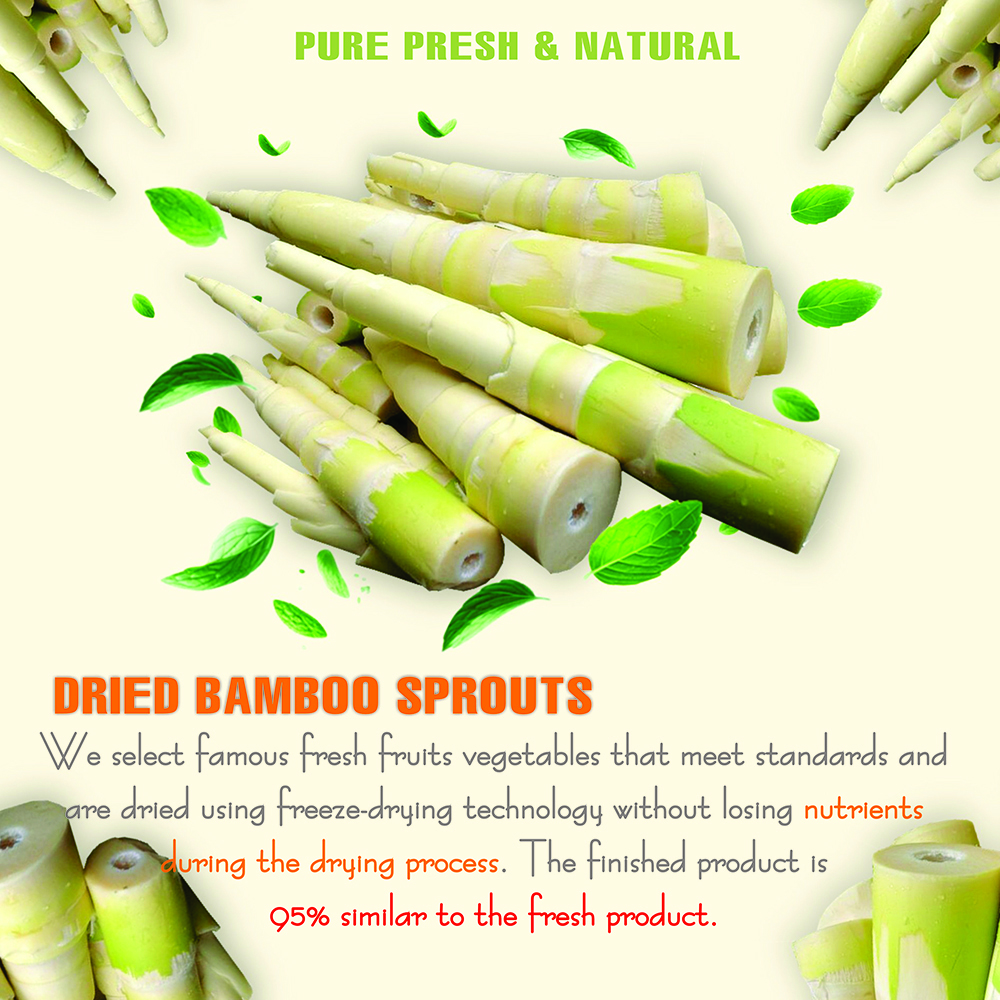 DRIED BAMBOO SPROUTS 5.29 Oz (150g) VIETFARMFOOD: Dried agricultural products with pure natural flavor. Used as cooking ingredients to prepare delicious, nutritious dishes, suitable for vegetarians