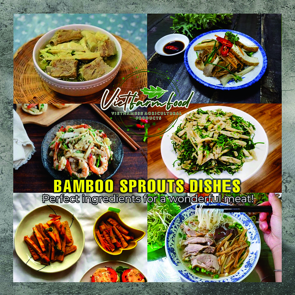 DRIED BAMBOO SPROUTS 5.29 Oz (150g) VIETFARMFOOD: Dried agricultural products with pure natural flavor. Used as cooking ingredients to prepare delicious, nutritious dishes, suitable for vegetarians