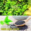 AGRICULTURAL PRODUCTS DRIED BASIL SEEDS Viet Farm Food natural ingredients processed into dishes 84 0938838553 4
