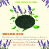 AGRICULTURAL PRODUCTS DRIED BASIL SEEDS Viet Farm Food natural ingredients processed into dishes 84 0938838553 5