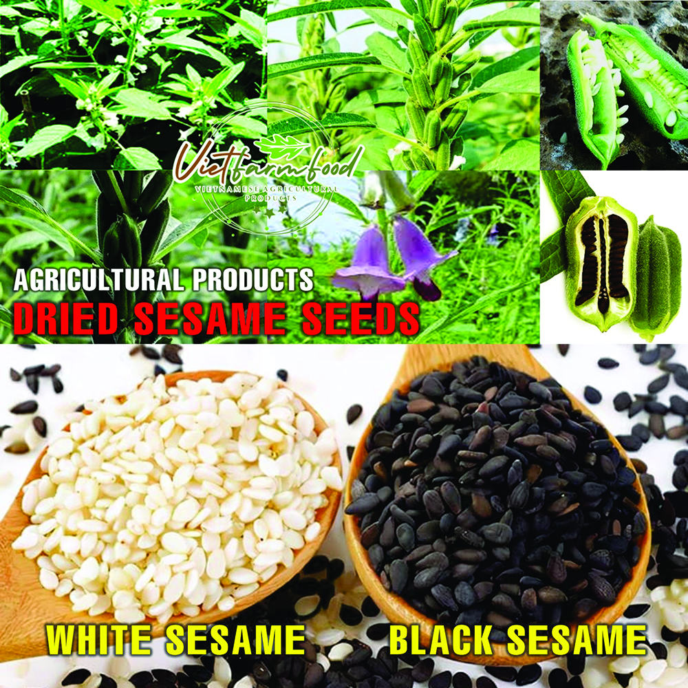DRIED BLACK SESAME SEEDS 5.29 Oz (150g) VIETFARMFOOD: Dried agricultural products with pure natural flavor. Used as ingredients for cooking; toppings, drinks, nutritious dishes,suitable for vegetarian