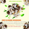 AGRICULTURAL PRODUCTS DRIED BLOOMING MUSHROOMS Viet Farm Food natural ingredients processed into dishes 84 0938838553 5