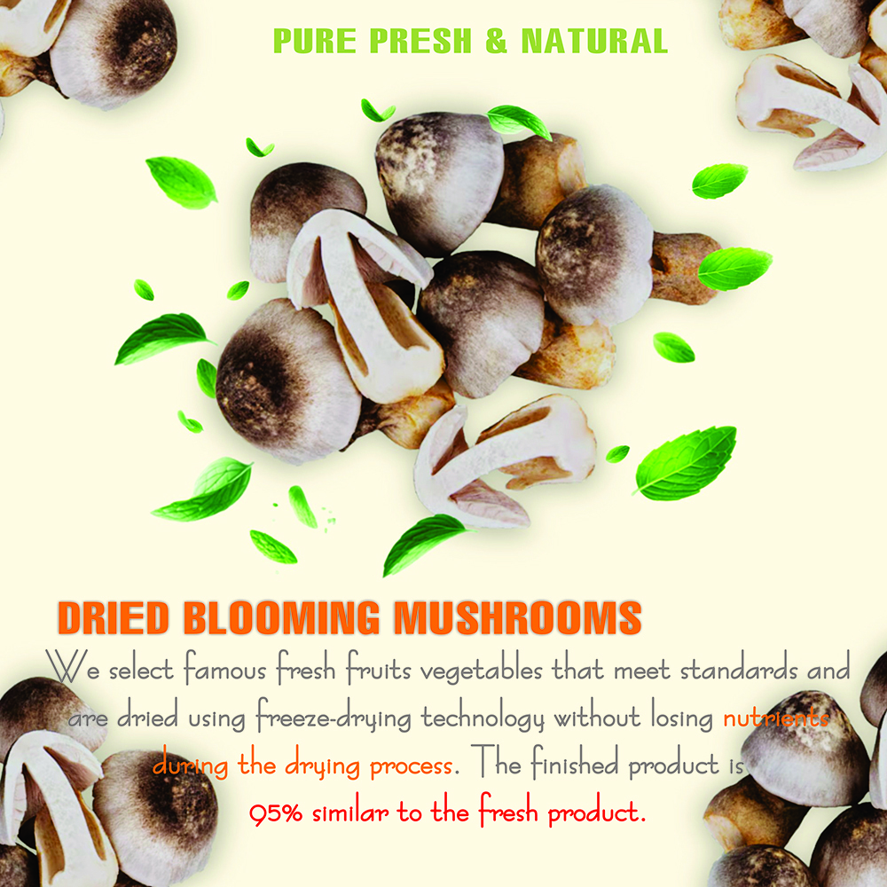DRIED BLOOMING MUSHROOMS 2.47 Oz (70g) VIETFARMFOOD: Dried agricultural products with pure natural flavor. Used as cooking ingredients to prepare delicious, nutritious dishes, suitable for vegetarians