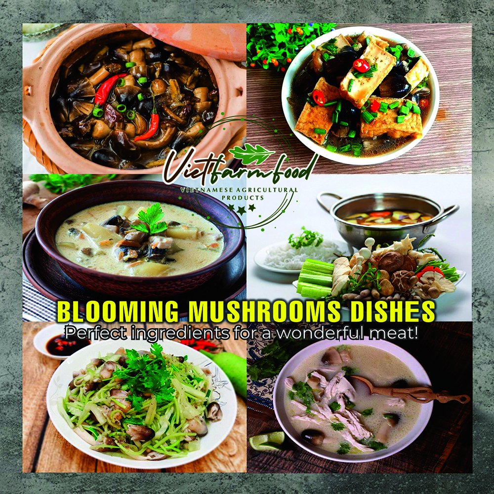 DRIED BLOOMING MUSHROOMS 2.47 Oz (70g) VIETFARMFOOD: Dried agricultural products with pure natural flavor. Used as cooking ingredients to prepare delicious, nutritious dishes, suitable for vegetarians