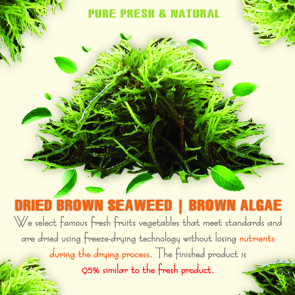DRIED BROWN SEAWEED (ALGAE) 5.29 Oz (150g) VIETFARMFOOD: Dried agricultural products with pure natural flavor. Used as cooking ingredients to prepare delicious, nutritious dishes, suitable vegetarians