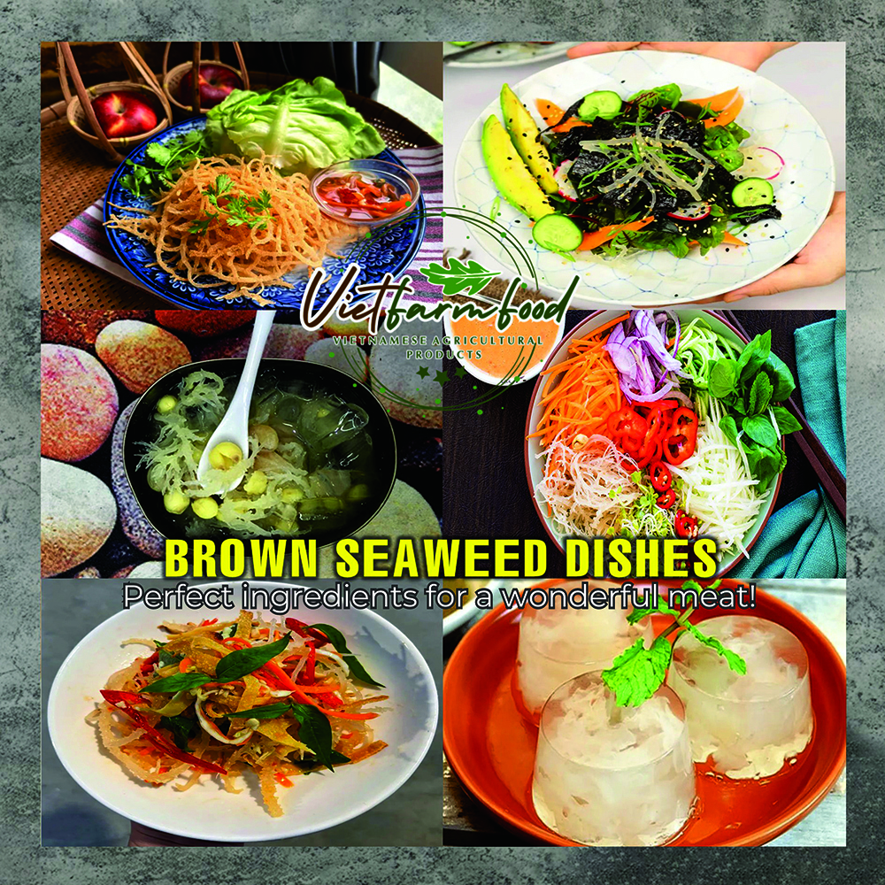 DRIED BROWN SEAWEED (ALGAE) 5.29 Oz (150g) VIETFARMFOOD: Dried agricultural products with pure natural flavor. Used as cooking ingredients to prepare delicious, nutritious dishes, suitable vegetarians