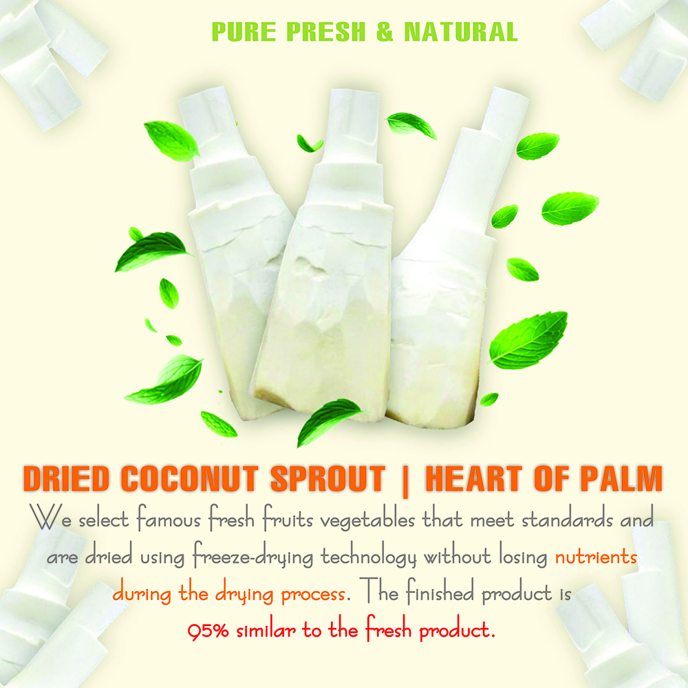 DRIED COCONUT SPROUT 5.29 Oz (150g) VIETFARMFOOD: Dried agricultural products with pure natural flavor. Used as cooking ingredients to prepare delicious, nutritious dishes, suitable for vegetarians