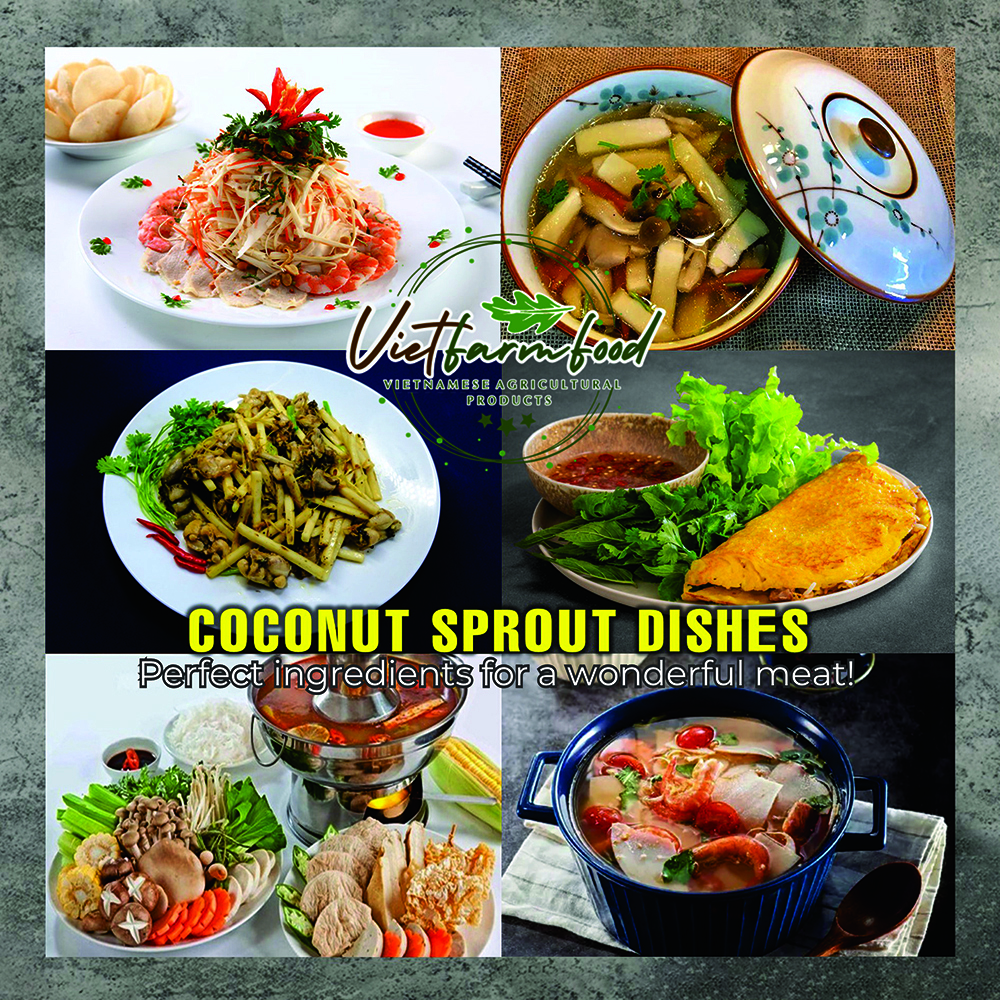 DRIED COCONUT SPROUT 5.29 Oz (150g) VIETFARMFOOD: Dried agricultural products with pure natural flavor. Used as cooking ingredients to prepare delicious, nutritious dishes, suitable for vegetarians