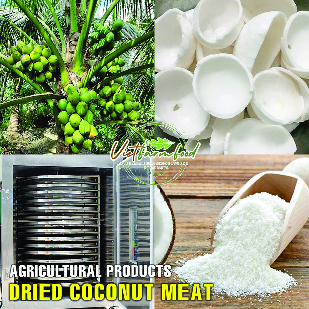 DRIED COCONUT MEAT 5.29 Oz (150g) VIETFARMFOOD: Dried agricultural products with pure natural flavor. Used as ingredients for cooking; toppings, drinks, nutritious dishes, suitable for vegetarians