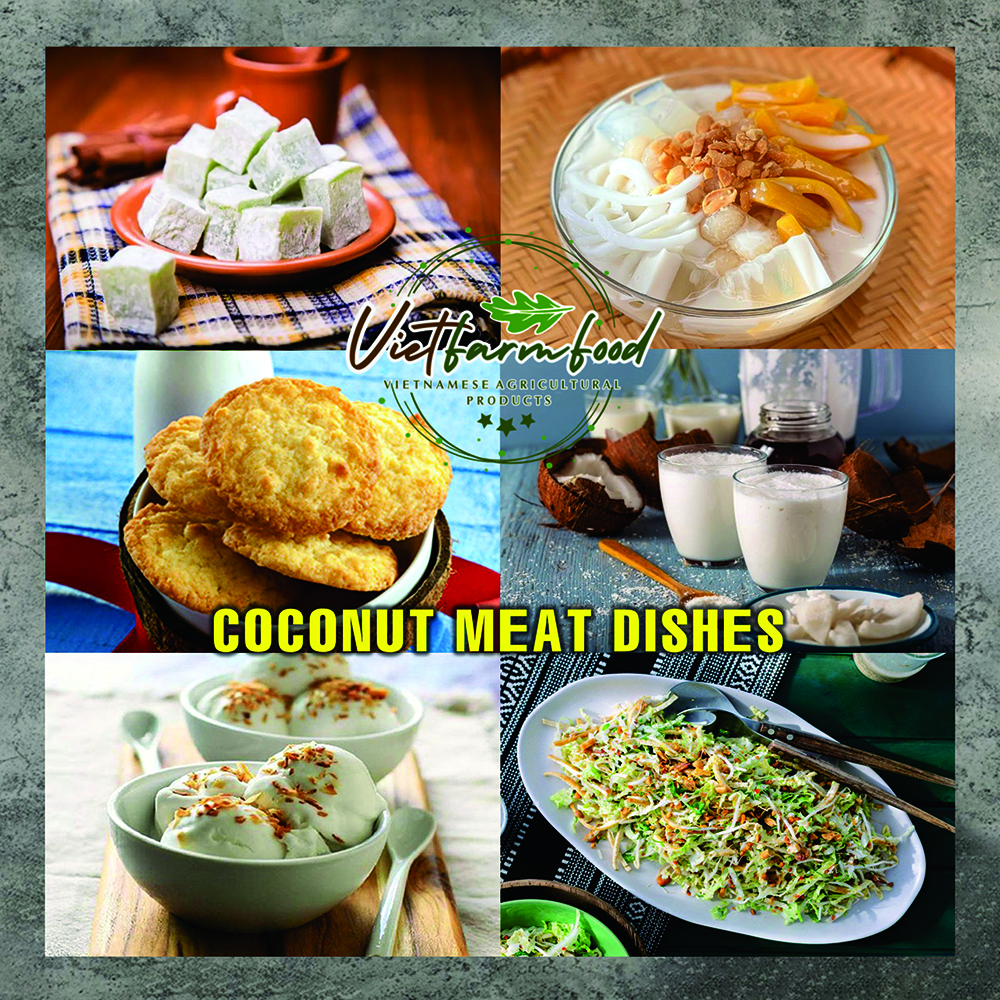DRIED COCONUT MEAT 5.29 Oz (150g) VIETFARMFOOD: Dried agricultural products with pure natural flavor. Used as ingredients for cooking; toppings, drinks, nutritious dishes, suitable for vegetarians
