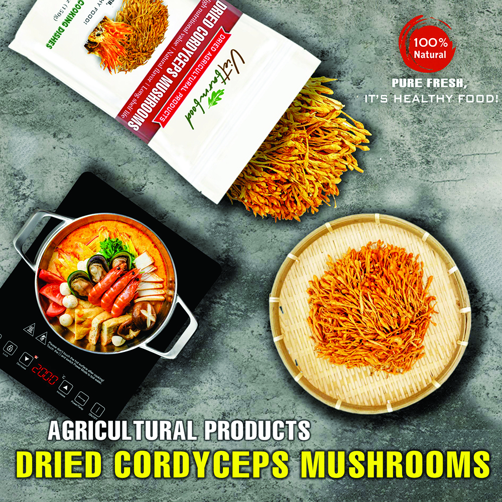 DRIED CORDYCEPS MUSHROOMS 5.29 Oz (150g) VIETFARMFOOD: Dried agricultural products with pure natural flavor. Used as cooking ingredients to prepare delicious, nutritious dishes, suitable vegetarians