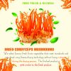 AGRICULTURAL PRODUCTS DRIED CORDYCEPS MUSHROOMS Viet Farm Food natural ingredients processed into dishes 84 0938838553 5