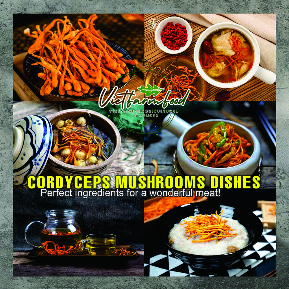 DRIED CORDYCEPS MUSHROOMS 5.29 Oz (150g) VIETFARMFOOD: Dried agricultural products with pure natural flavor. Used as cooking ingredients to prepare delicious, nutritious dishes, suitable vegetarians