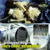 AGRICULTURAL PRODUCTS DRIED ENOKI MUSHROOMS Viet Farm Food natural ingredients processed into dishes 84 0938838553 4