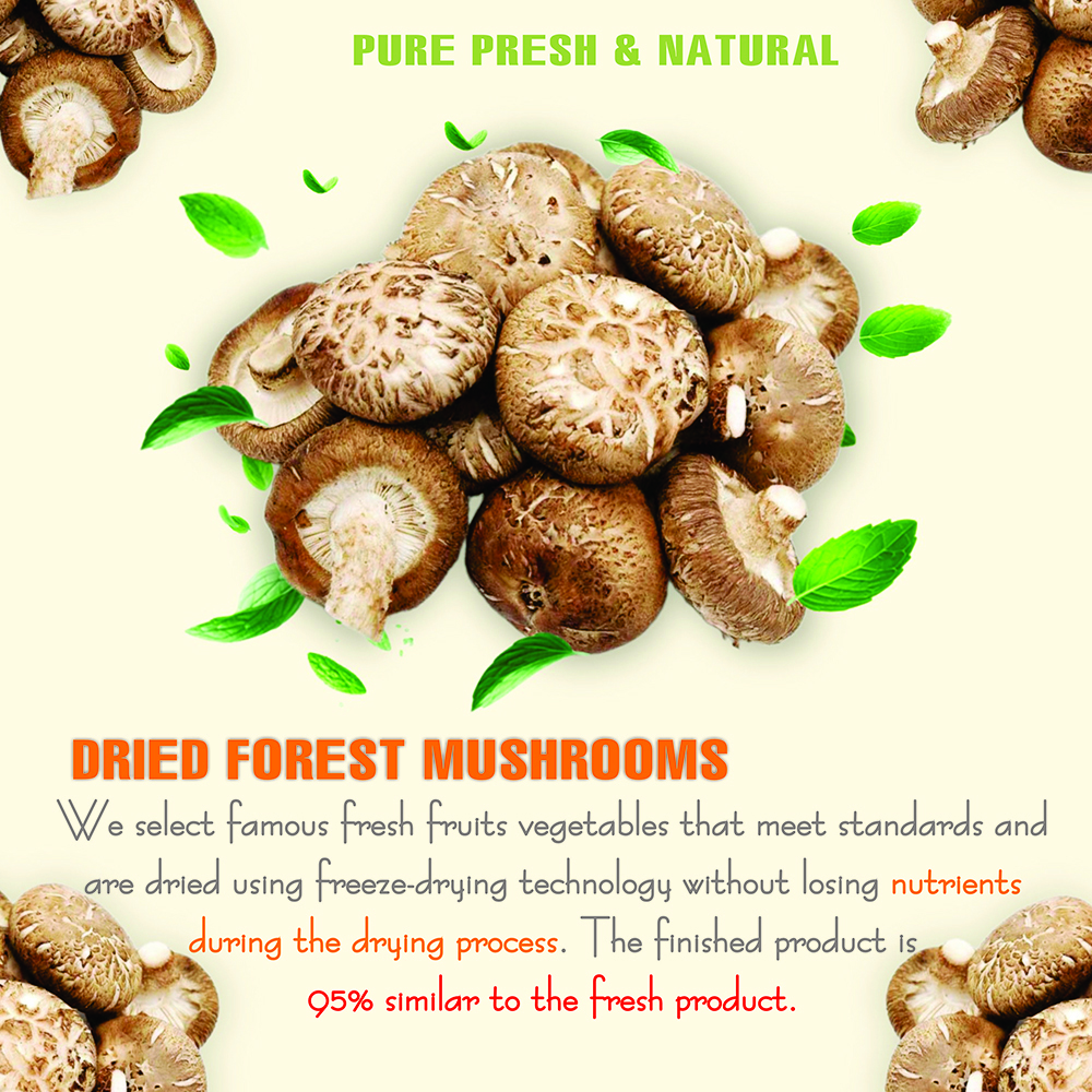 DRIED FOREST MUSHROOMS 2.47 Oz (70g) VIETFARMFOOD: Dried agricultural products with pure natural flavor. Used as cooking ingredients to prepare delicious, nutritious dishes, suitable for vegetarians