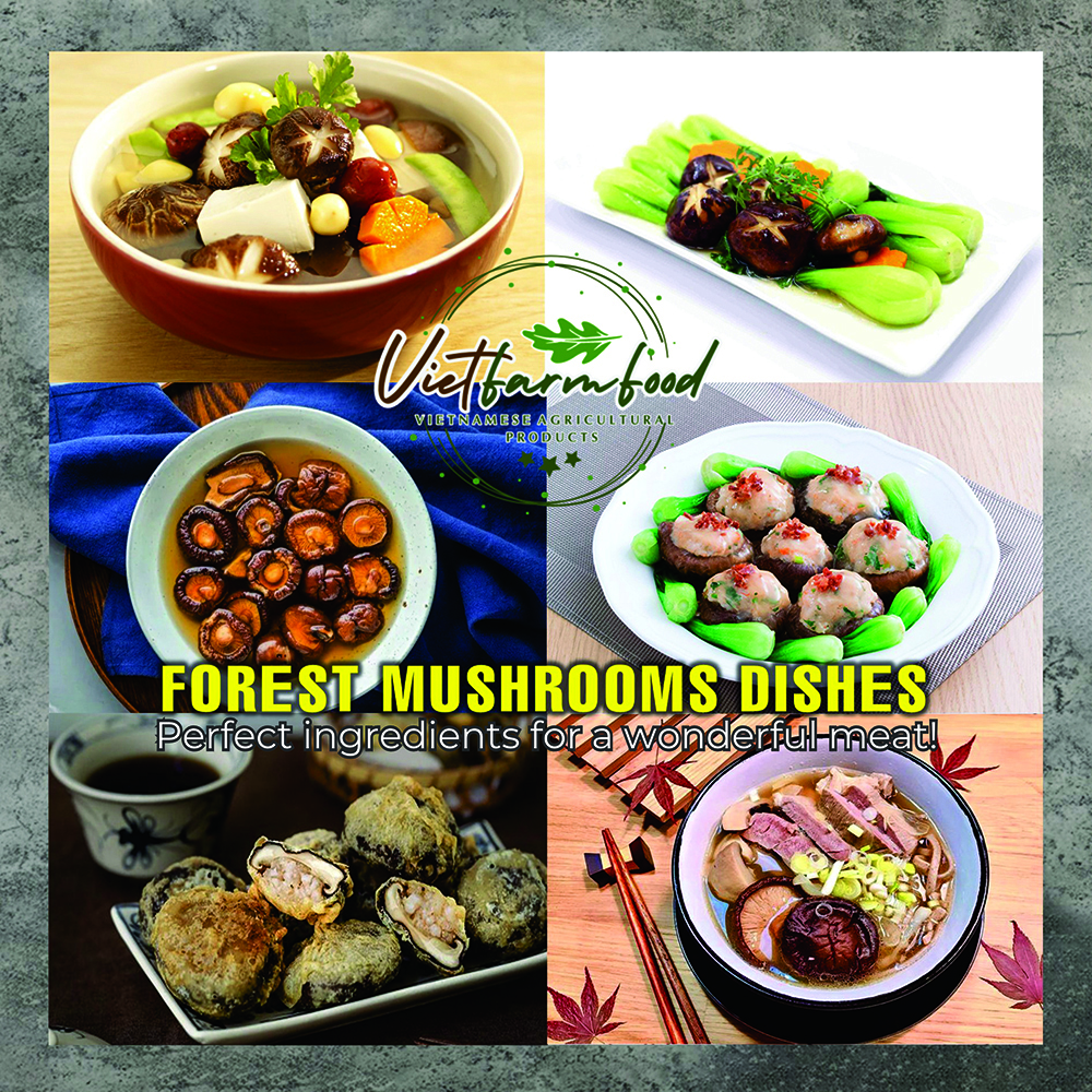 DRIED FOREST MUSHROOMS 2.47 Oz (70g) VIETFARMFOOD: Dried agricultural products with pure natural flavor. Used as cooking ingredients to prepare delicious, nutritious dishes, suitable for vegetarians