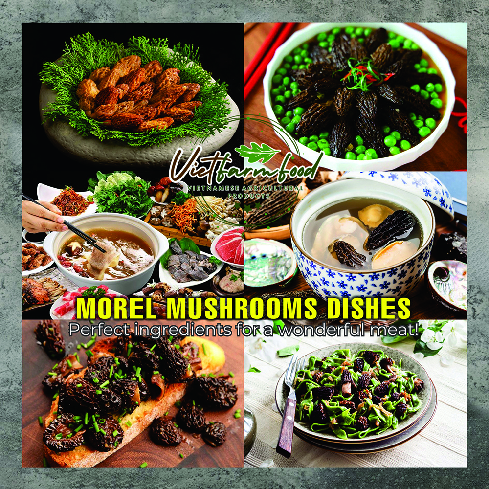 DRIED MOREL MUSHROOMS 2.47 Oz (70g) VIETFARMFOOD: Dried agricultural products with pure natural flavor. Used as cooking ingredients to prepare delicious, nutritious dishes, suitable for vegetarians