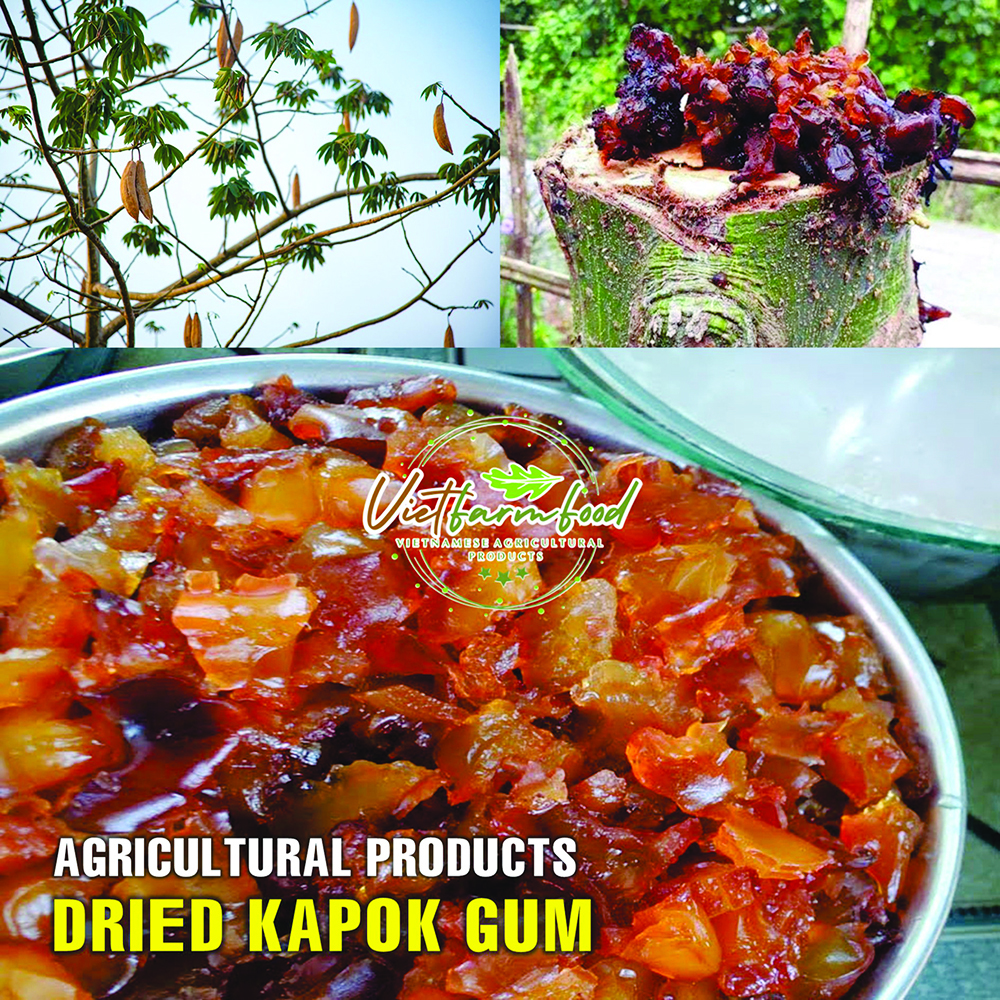 DRIED KAPOK (RESIN) GUM 5.29 Oz (150g) VIETFARMFOOD: Dried agricultural products with pure natural flavor. Used as ingredients for cooking; toppings, drinks, nutritious dishes, suitable for vegetarian