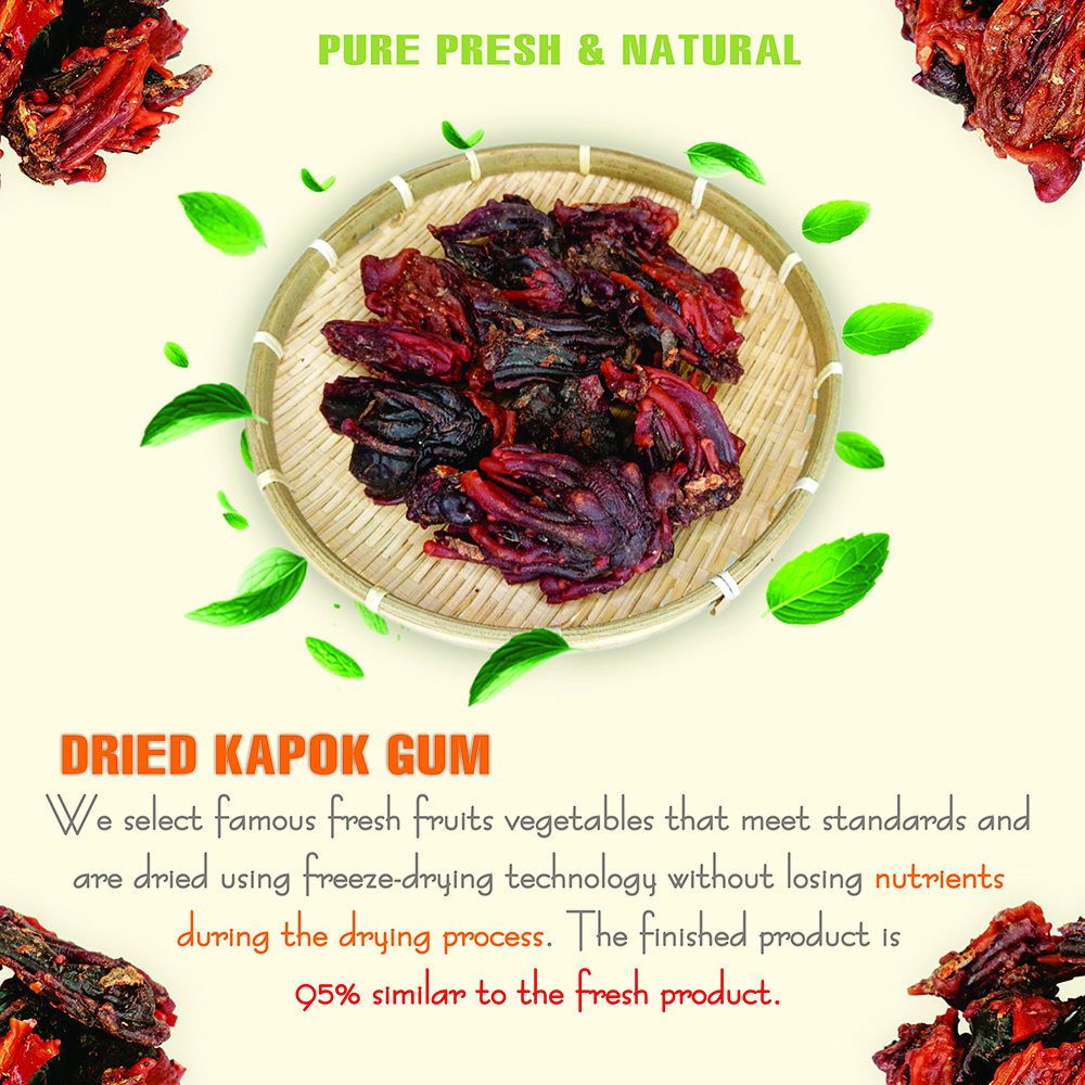 DRIED KAPOK (RESIN) GUM 5.29 Oz (150g) VIETFARMFOOD: Dried agricultural products with pure natural flavor. Used as ingredients for cooking; toppings, drinks, nutritious dishes, suitable for vegetarian